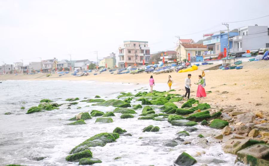 Chị Kiều Nga (30 tuổi, ở phường Hoài Hương, thị xã Hoài Nhơn, Bình Định) cho hay, thấy mạng xã hội đăng nhiều hình ảnh về bãi đá rêu Nhơn Hải nên bản thân cũng muốn trực tiếp đến đây để cảm nhận vẻ đẹp. Theo chị Nga, ở Hoài Hương cũng có nhiều bãi đá ven biển nhưng “thảm rêu xanh” trên đá thì chị chưa thấy. “Quả thực cảm giác đẹp rất khó tả”, Kiều Nga bày tỏ.