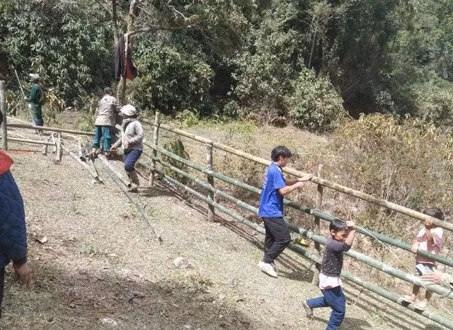 Người dân làm chuồng trại để cách ly đàn trâu, bò nhằm khống chế dịch bệnh lan rộng