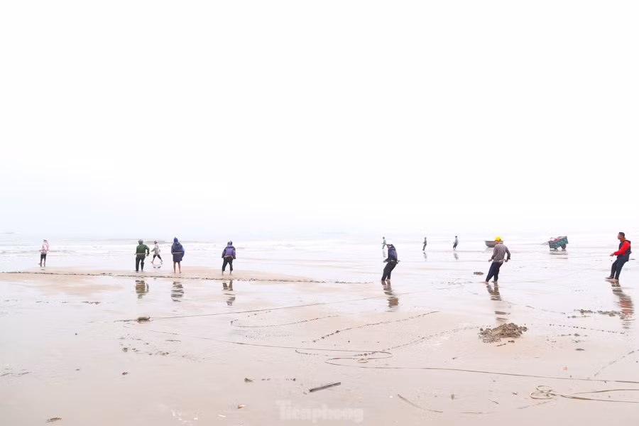 Từ sáng sớm, tổ kéo rùng của ông Nguyễn Đình Nam (48 tuổi, trú phường Nghi Thủy, thành phố Vinh, Nghệ An) đã mang lưới, thau, rổ… đổ ra bãi biển Cửa Lò thả lưới “săn” cá gần bờ. Ra tới bãi biển, một đầu lưới sẽ được giữ trên bờ, phần còn lại các ngư dân dùng thuyền thúng chở ra biển cách bờ hơn 2km, thả vây tròn lại thành hình bán nguyệt, khoảng cách giữa 2 đầu lưới khoảng hơn 300m.