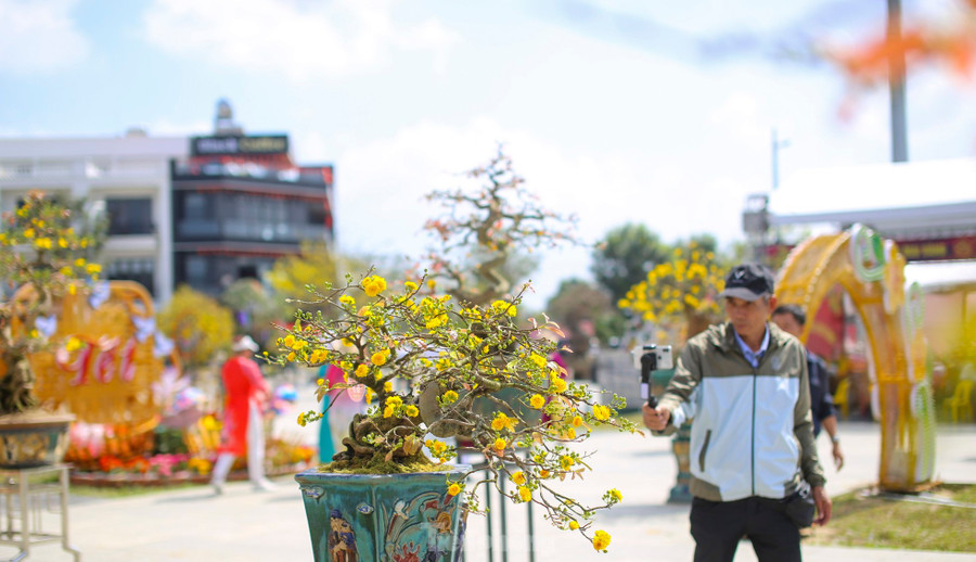 Người dân livestream giới thiệu những tác phẩm mai bonsai. Ảnh: Trương Định
