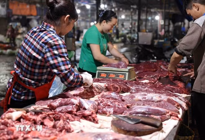 (Ảnh: Vũ Sinh/TTXVN)