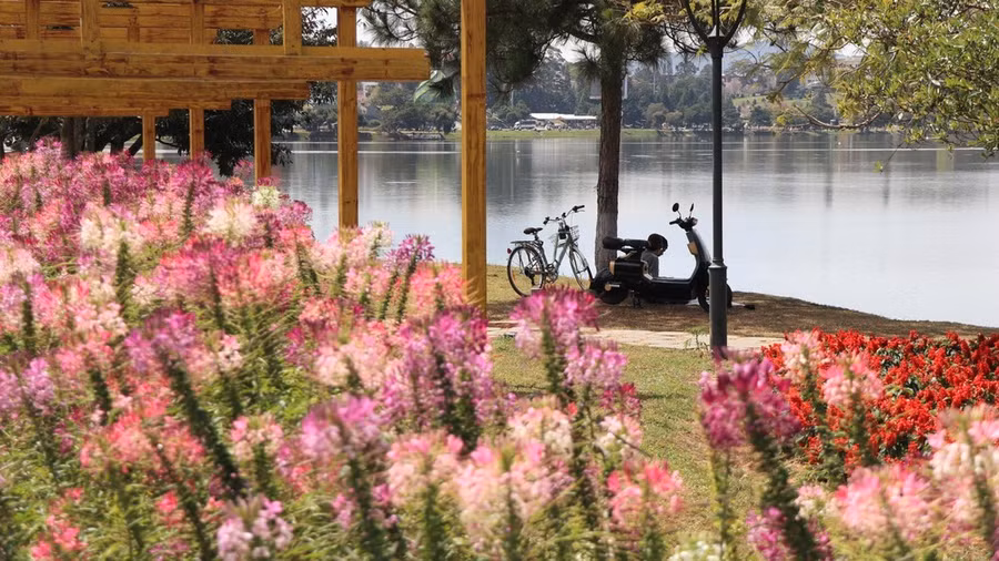 Không gian hoa bên hồ Xuân Hương. Ảnh: ĐOÀN KIÊN