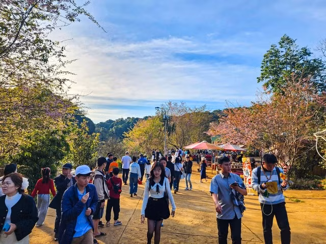 Du khách đến Măng Đen nườm nượp trong những ngày Tết Nguyên đán Ất Tỵ. ẢNH: HẢI PHONG