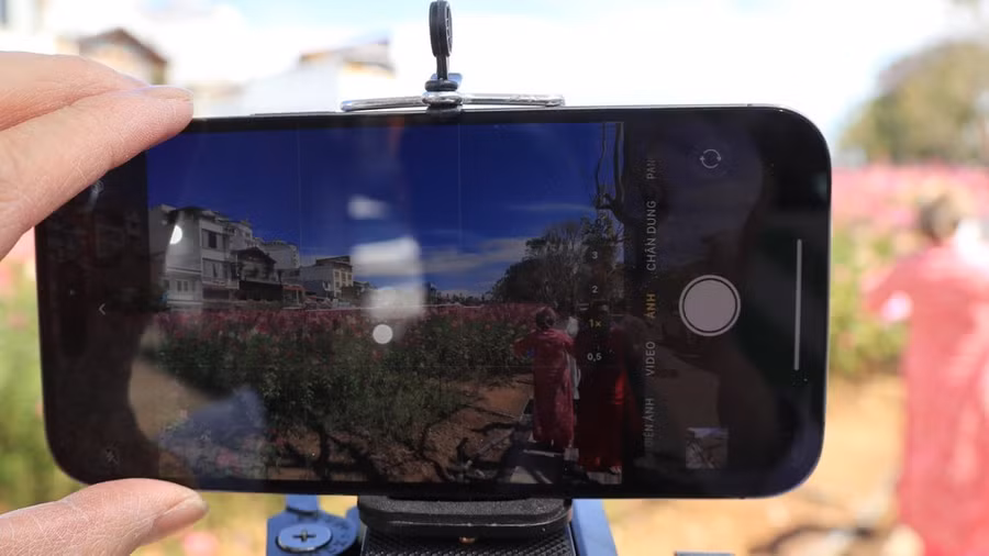 Nhiều người dân tranh thủ lưu lại những khoảnh khắc đẹp bên hoa tuý điệp. Ảnh: ĐOÀN KIÊN