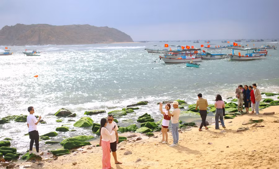 Theo người dân địa phương, rêu xanh năm nay xuất hiện sớm hơn, thường từ cuối tháng 2 trở đi. Thời điểm đẹp nhất để quan sát bãi đá rêu xanh mướt là sáng sớm, lúc mặt trời vừa ló dạng, thủy triều rút.