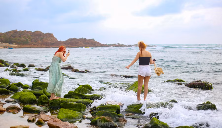 Du khách hòa mình vào khung cảnh thiên nhiên. Ảnh: Trương Định