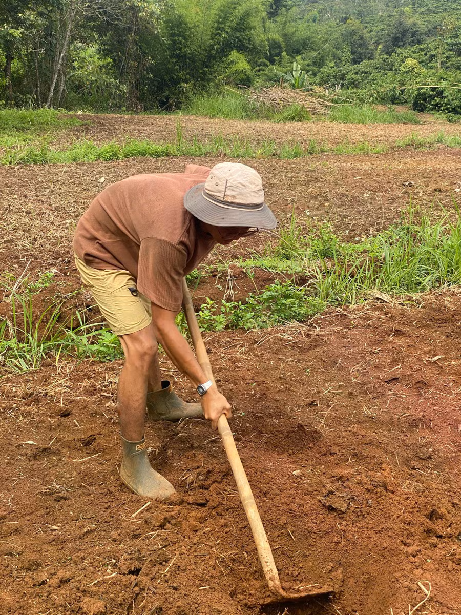 An trồng vườn hoa tặng vợ. ẢNH: NVCC