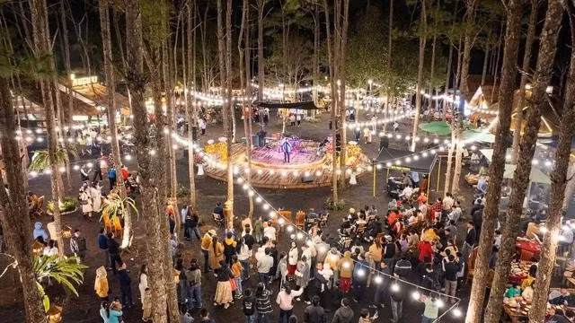 Khu phố đêm nằm trong rừng thông Măng Đen thu hút khách du lịch tham quan, trải nghiệm. ẢNH: TRIỆU THANH