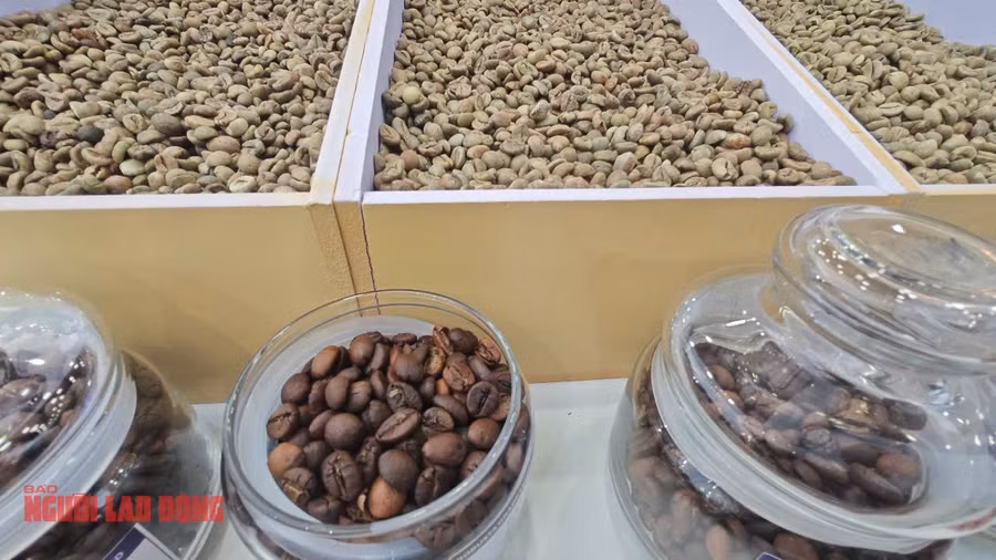 Giá cà phê đã tăng 5 phiên liên tiếp, phiên sau tăng mạnh hơn phiên trước