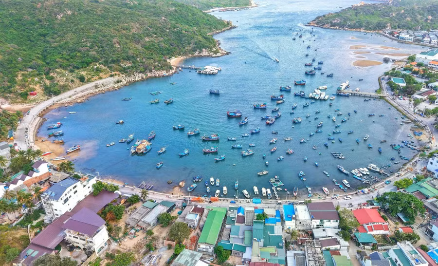 Vịnh Vĩnh Hy nổi tiếng với vẻ đẹp hoang sơ, nơi núi non hùng vĩ ôm trọn biển xanh trong vắt. Nơi đây còn thu hút du khách bởi hệ sinh thái biển đa dạng và những trải nghiệm du lịch độc đáo. ẢNH: BÁ DUY