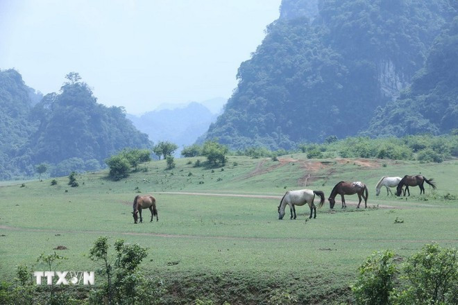 Thảo nguyên xanh Đồng Lâm, xã Hữu Liên, huyện Hữu Lũng. (Ảnh: TTXVN phát) Thảo nguyên xanh Đồng Lâm, xã Hữu Liên, huyện Hữu Lũng. (Ảnh: TTXVN phát)