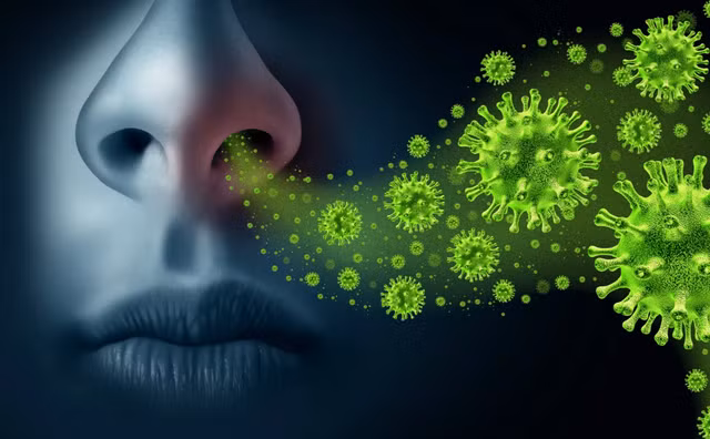 Thông thường, cúm A/H5N1 gây viêm phổi nặng với tỉ lệ tử vong cao. (Ảnh: Minh hoạ)