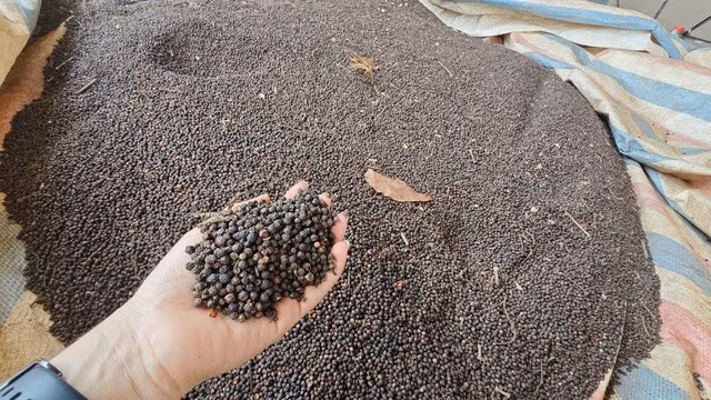 Nhà nông tin mốc 200.000 đồng/kg sẽ trở lại