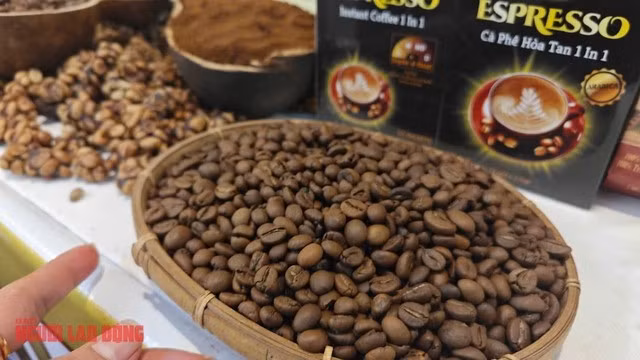 Giá cà phê hôm nay có tin tốt trở lại