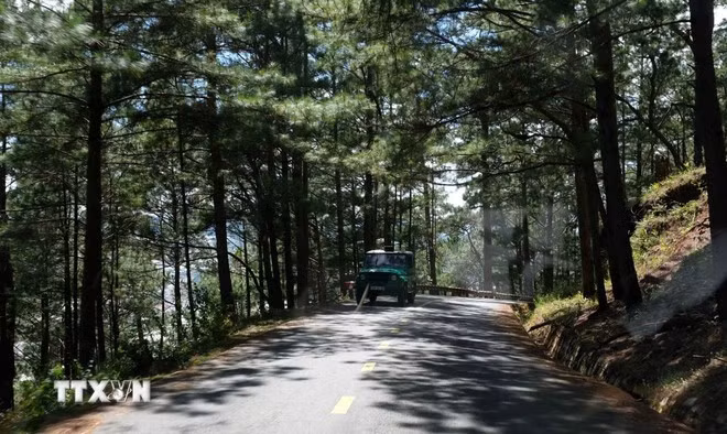 Trên núi Langbiang ở Đà Lạt. (Nguồn: TTXVN)