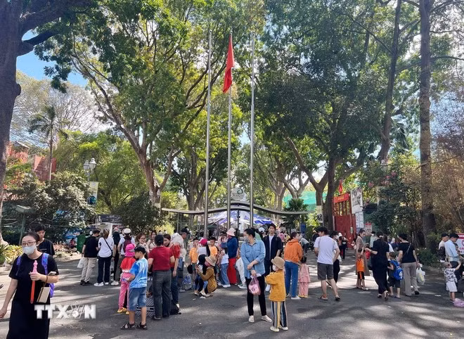 (Ảnh: Thu Hương/TTXVN)