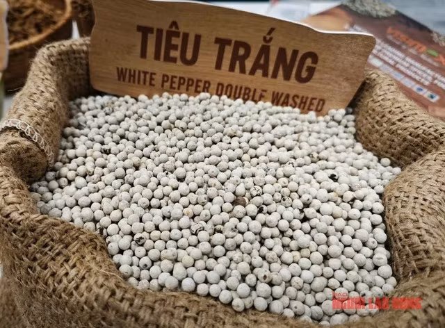 Tiêu trắng được doanh nghiệp giới thiệu ở hội chợ TP HCM