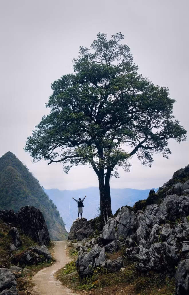 Những cung đường đèo của cao nguyên đá ở Hà Giang mang đến trải nghiệm giàu cảm xúc cho du khách. (Ảnh minh họa: Vương Công Nam/Vietnam+)