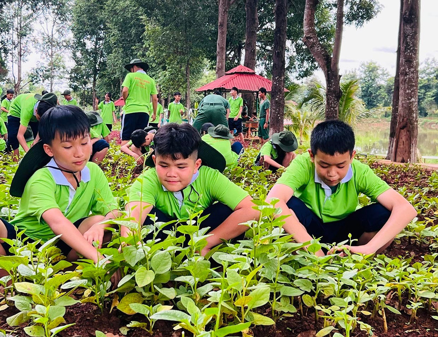 Các chiến sĩ nhí tham gia hoạt động tăng gia sản xuất. Ảnh: Phan Lài 5c-cac-chien-si-nhi-tham-gia-hoat-dong-tang-gia-san-xuat.jpg