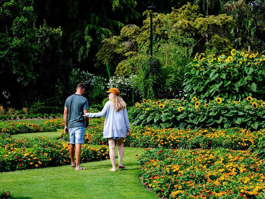 Brisbane Botanic Gardens là nơi bạn có thể tham quan các khu vườn nổi bật theo từng chủ đề Brisbane Botanic Gardens là nơi bạn có thể tham quan các khu vườn nổi bật theo từng chủ đề