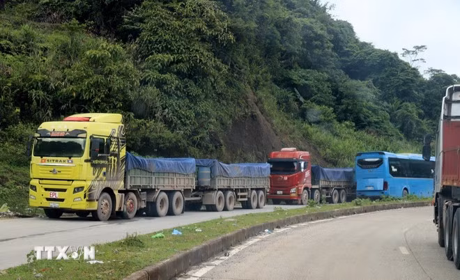 Tổng trọng tải chiếc xe hai khúc biển kiểm soát UN3622 lên đến hơn 63 tấn. (Ảnh: Văn Tý/TTXVN)