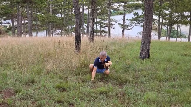 Du khách thích thú trải nghiệm hái nấm dưới tán rừng thông Đà Lạt. ẢNH: LÂM VIÊN