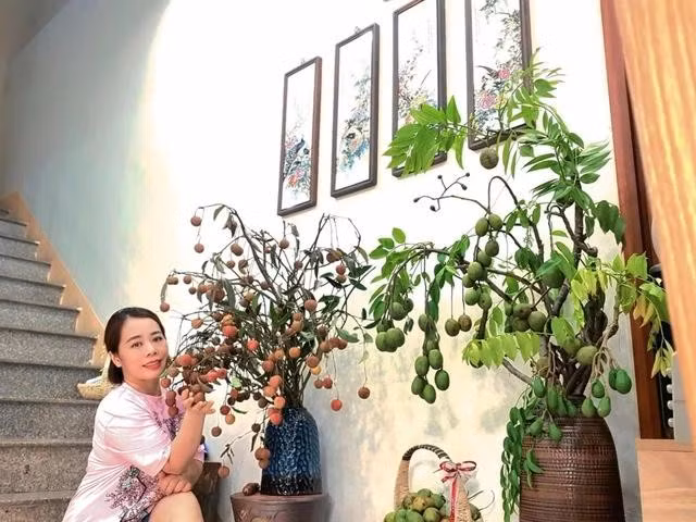 Những bình cành quả trong nhà chị Huyền tháng 6. Ảnh: NVCC