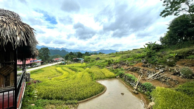 Homestay ở Pù Luông nép mình bên những thửa ruộng bậc thang. 2dulich.jpg