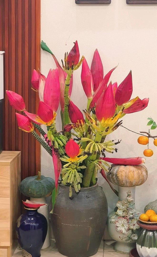 Có lần, chị mua cành thanh long, người bán đều quen biết nên bán với giá "rẻ như cho". Ảnh: NVCC Có lần, chị mua cành thanh long, người bán đều quen biết nên bán với giá "rẻ như cho". Ảnh: NVCC