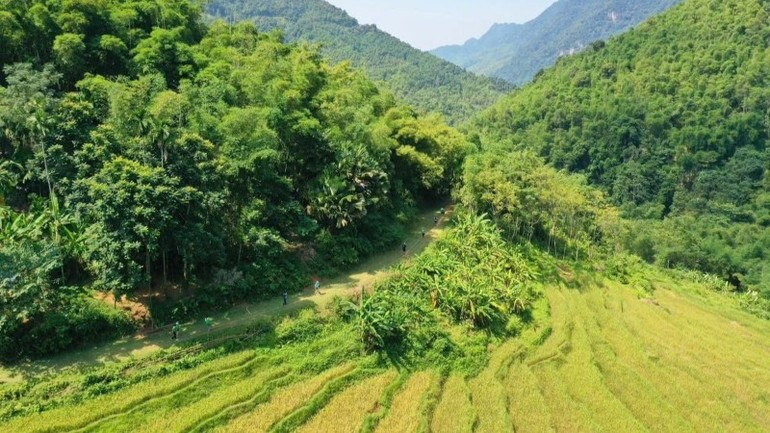 Tuyến đường dã ngoại trong nắng sớm. 3dulich.jpg