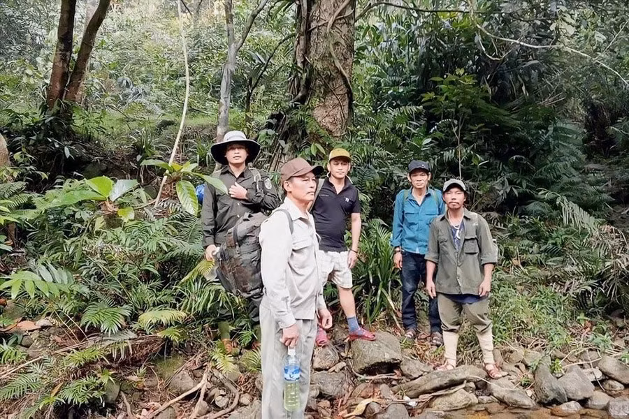 Trong tâm thức người dân, rừng không chỉ là câu chuyện sinh kế, mà rộng hơn là trách nhiệm với tài nguyên thiên nhiên, trách nhiệm với thế hệ sau. Ảnh: N.H