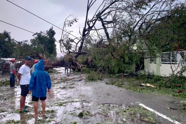 Một cây bật gốc sau siêu bão Man-yi ở khu đô thị San Andres thuộc tỉnh Catanduanes. Ảnh: AFP Một cây bật gốc sau siêu bão Man-yi ở khu đô thị San Andres thuộc tỉnh Catanduanes. Ảnh: AFP
