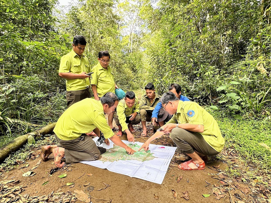 Các thành viên Tổ quản lý, bảo vệ rừng thôn 1 cùng cán bộ, nhân viên Ban Quản lý rừng đặc dụng An Toàn (xã An Toàn) tuần tra rừng. Ảnh: Duy Đăng them6-2.jpg