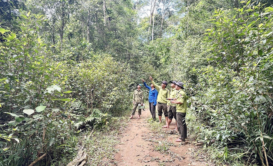 Các hộ dân thôn 2 (xã An Toàn) cùng cán bộ, nhân viên Trạm Quản lý bảo vệ rừng An Toàn 2 tuần tra, phòng chống cháy rừng tại khu vực Ngọn Nước Tân. Ảnh: D.Đ laybg-6-1.jpg
