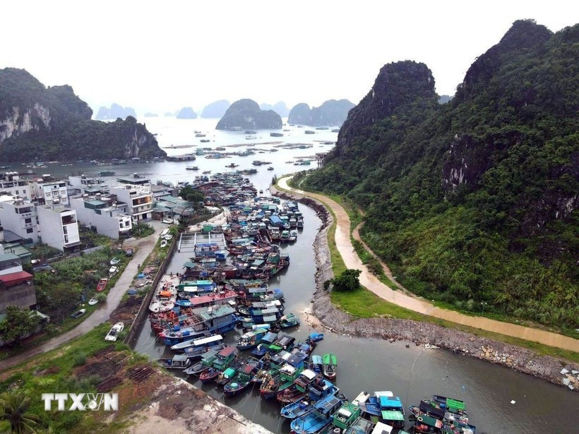 Tàu cá của ngư dân tránh trú bão tại khu vực cảng Cái Rồng, Đặc khu Vân Đồn, tỉnh Quảng Ninh. Ảnh: TTXVN phát cap-nhat-thiet-hai-ban-dau.jpg
