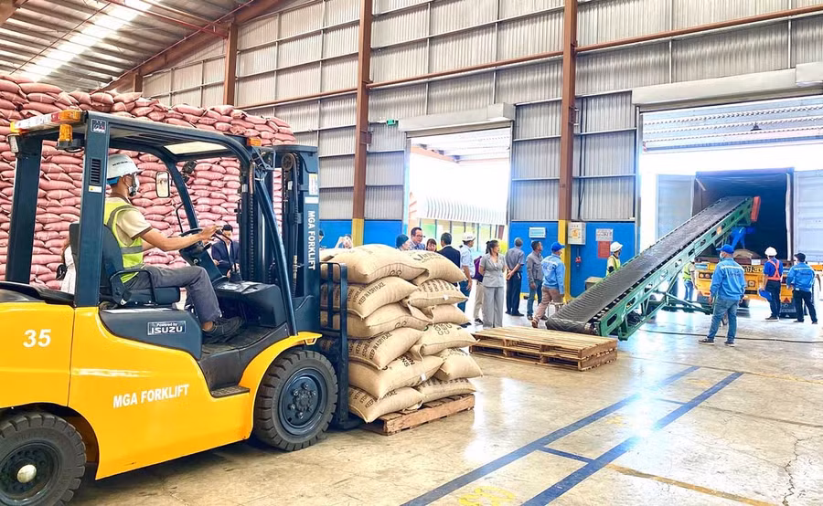 Cà phê của Công ty TNHH Vĩnh Hiệp (phường Pleiku) đã được đăng ký bảo hộ thương hiệu tại nhiều nước. Ảnh: Hà Duy