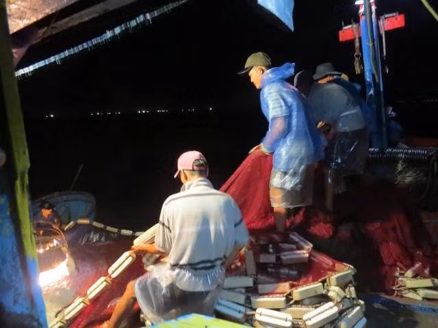 Bạn chài tàu cá ông Võ Xuân Cẩm kéo lưới trên biển đêm. ẢNH: TRANG THY
