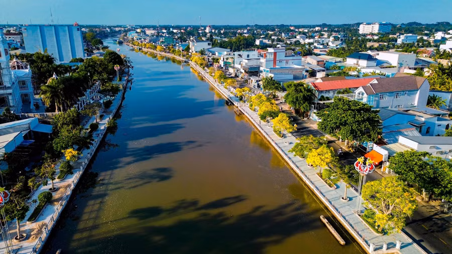 Đường hoa kèn vàng nằm bên dòng Long Bình nở hoa vàng rực. ẢNH: XUYÊN VÕ
