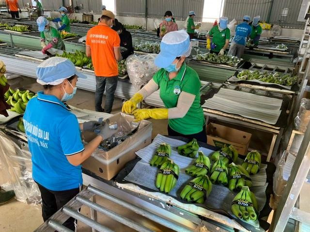 Bầu Đức tiếp tục chi hơn 60 tỉ đồng mua cổ phiếu Hoàng Anh Gia Lai. ẢNH: CTV