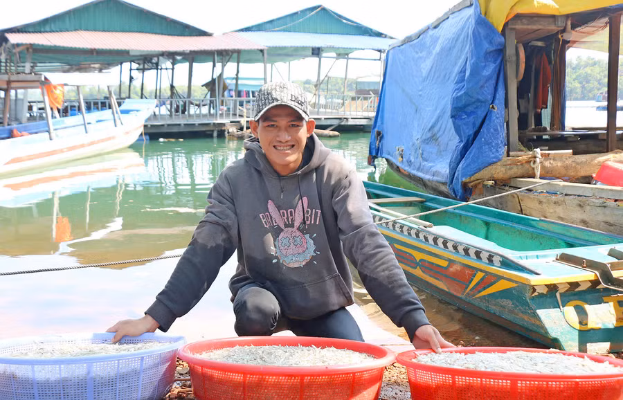 Anh Lê Văn Sang chuẩn bị bán cá cơm khai thác được ở lòng hồ thủy điện Sê San cho thương lái. Ảnh: Đồng Lai