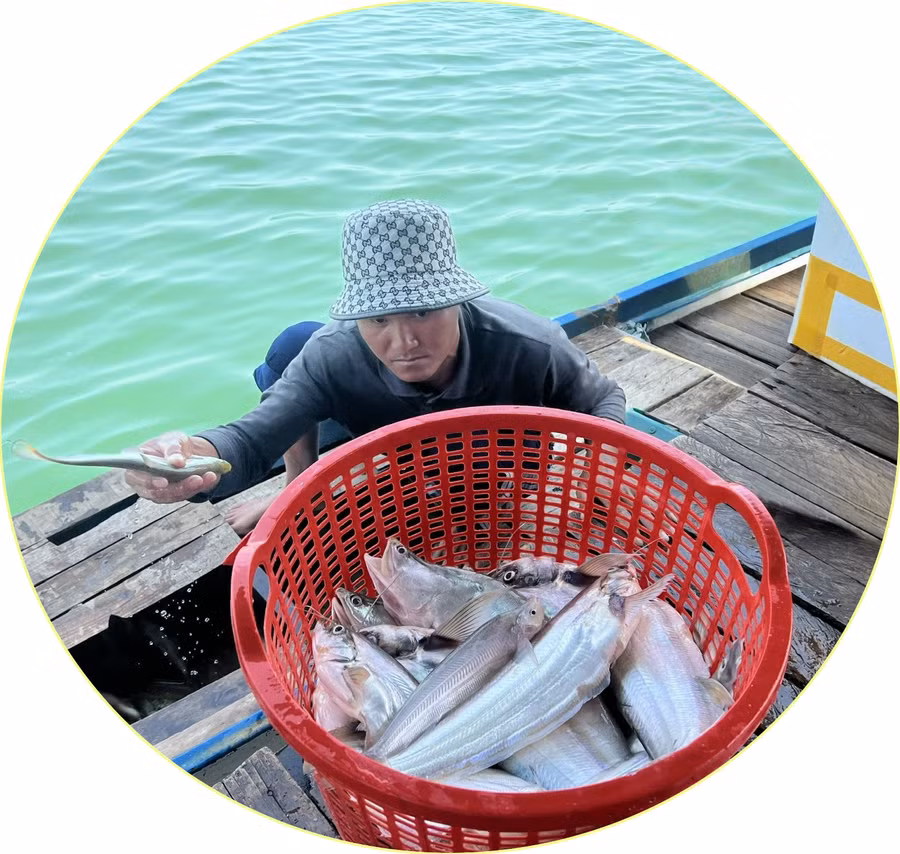 Người dân cân từng mẻ cá vừa đánh bắt để đem bán. Ảnh: Đồng Lai