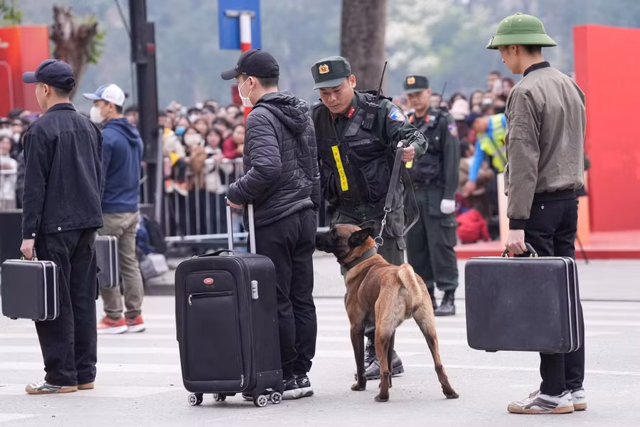 Các chú chó nghiệp vụ được huấn luyện để phát hiện ma túy
