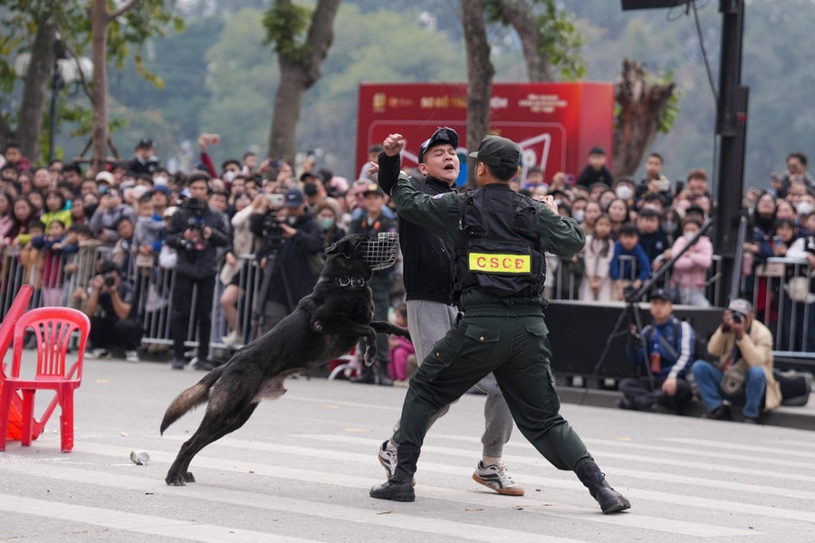 Chó nghiệp vụ cùng chiến sĩ cảnh sát cơ động trấn áp tội phạm