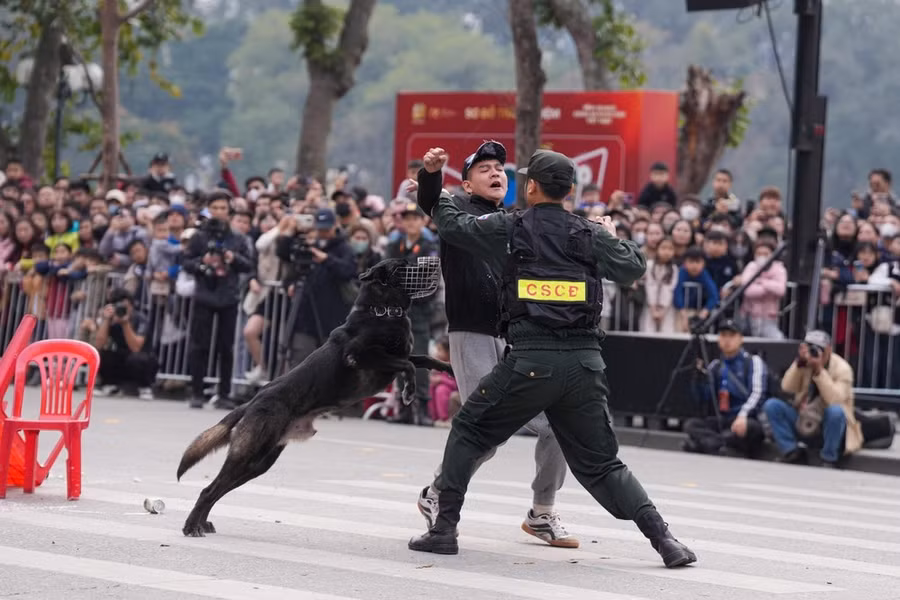 Chó nghiệp vụ cùng chiến sĩ cảnh sát cơ động trấn áp tội phạm