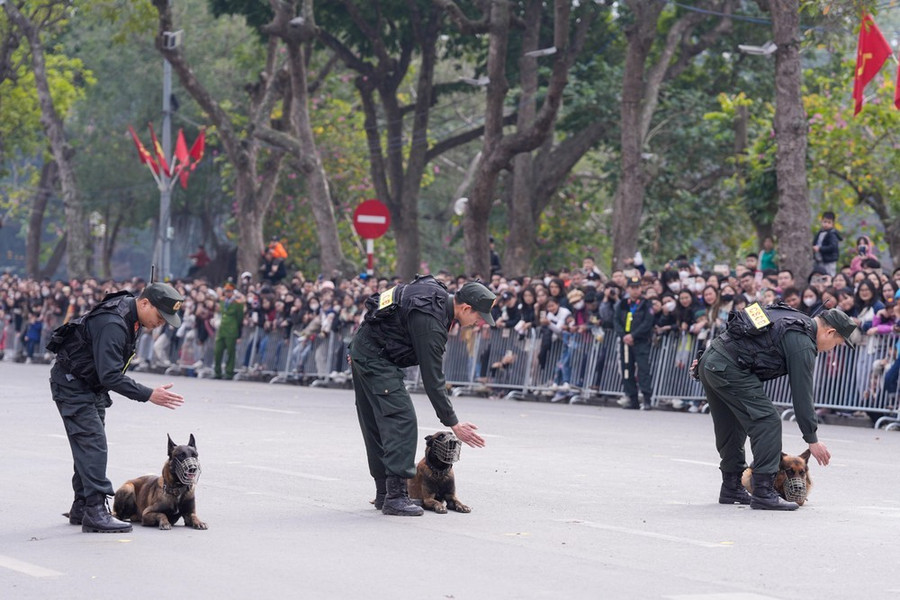 Chó nghiệp vụ ngoan ngoãn nghe theo hướng dẫn