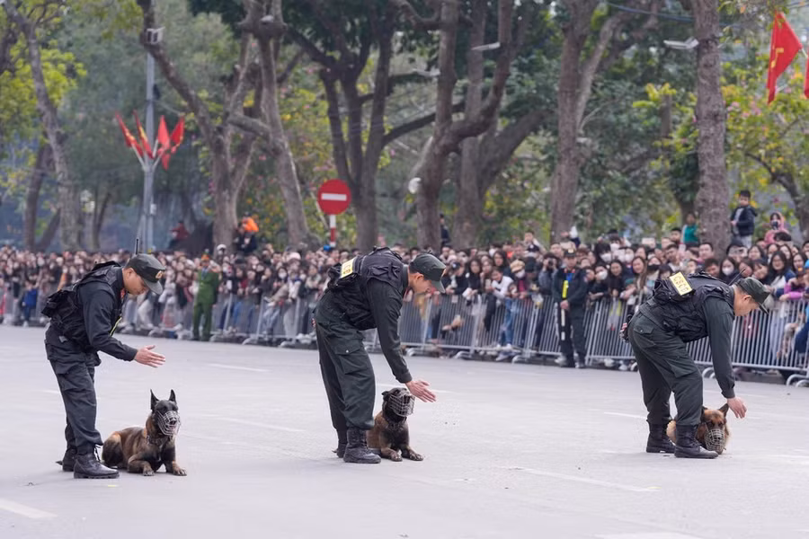 Chó nghiệp vụ ngoan ngoãn nghe theo hướng dẫn