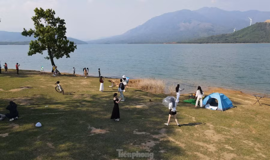 Còn "cây cô đơn", không hiểu vì lý do gì lại đứng tách riêng. Cách đây 5 năm, cây bị kẻ xấu phá hoại, lột vỏ và chặt sâu vào thân. Tuy nhiên nhờ nỗ lực cứu cây của nhóm tình nguyện cùng sức sống mãnh liệt, ưa sáng và có khả năng tái sinh mạnh mẽ, cây cô đơn xanh tốt trở lại, hòa vào khung cảnh nên thơ nơi đây.