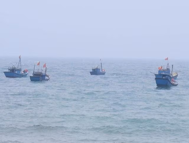 Ngư dân P.Phổ Thạnh hành nghề lưới vây rút trên biển. Ảnh: Trang Thy