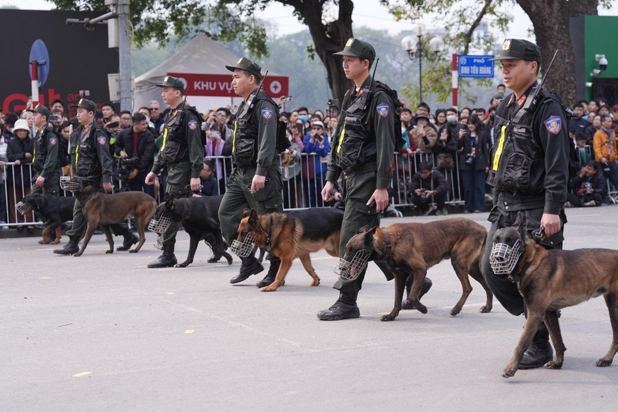 Nhiều người chờ đợi màn huấn luyện chó nghiệp vụ tấn công tội phạm nguy hiểm, có vũ khí nóng