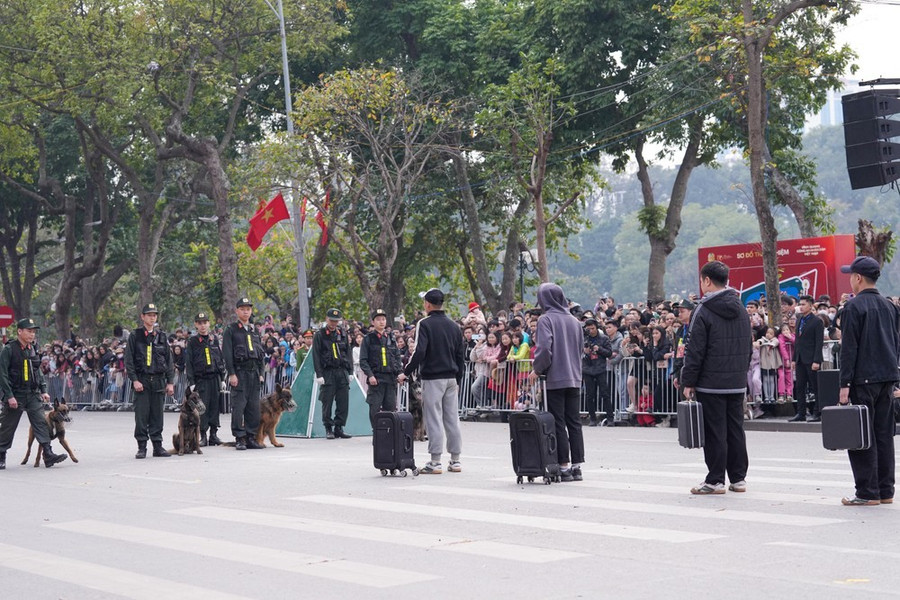 Mô tả lại việc kiểm soát người qua biên giới, các chú chó nghiệp vụ phát hiện, đánh hơi thấy ma túy